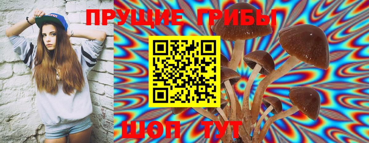Галлюциногенные грибы GOLDEN TEACHER Шарыпово