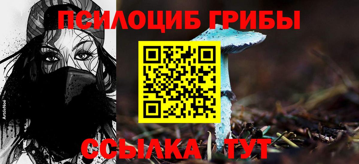 купить наркотик  Галлюциногенные грибы MAGIC MUSHROOMS  Вход с VPN  Шарыпово 
